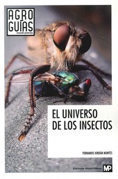 UNIVERSO DE LOS INSECTOS EL