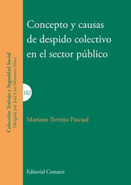 CONCEPTO Y CAUSAS DE DESPIDO COLECTIVO EN EL SECTOR PÚBLICO