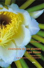 ANATOMIA DE LAS PLANTAS CON FLORES