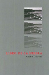 LIBRO DE LA NIEBLA