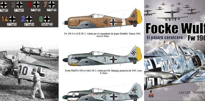 FOCKE WULF