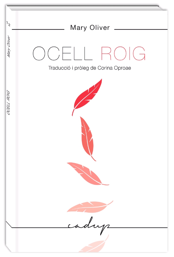 OCELL ROIG