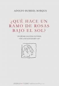 ¿QUÉ HACE UN RAMO DE ROSA BAJO EL SOL?