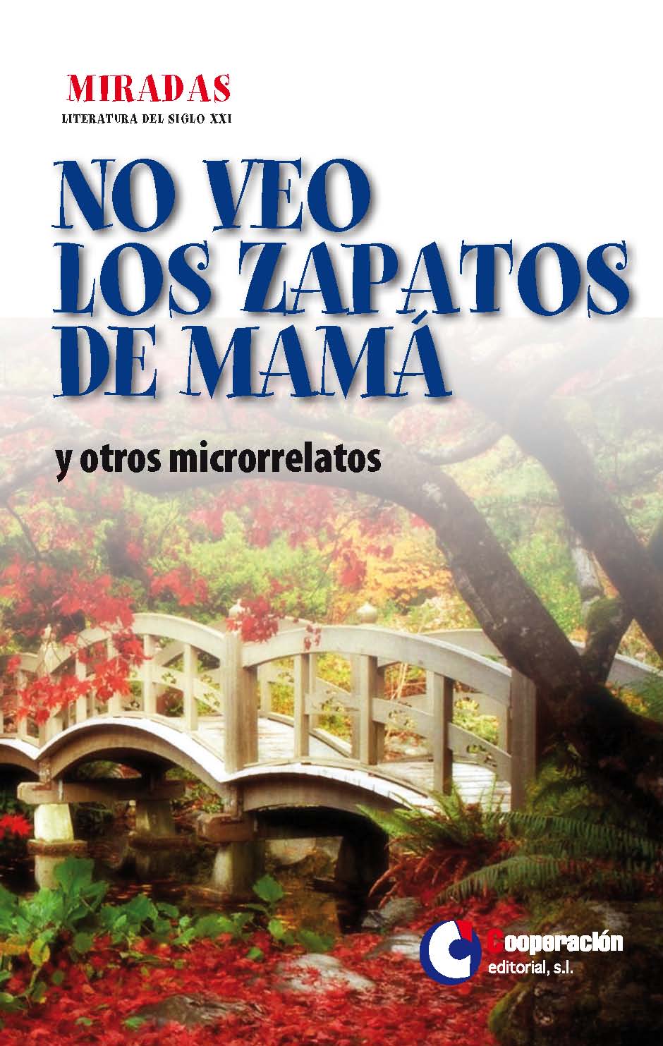 No veo los zapatos de mamá y otros microrrelatos