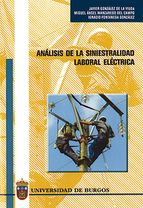 ANÁLISIS DE LA SINIESTRALIDAD LABORAL ELÉCTRICA