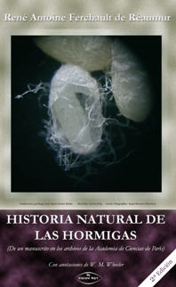 HISTORIA NATURAL DE LAS HORMIGAS