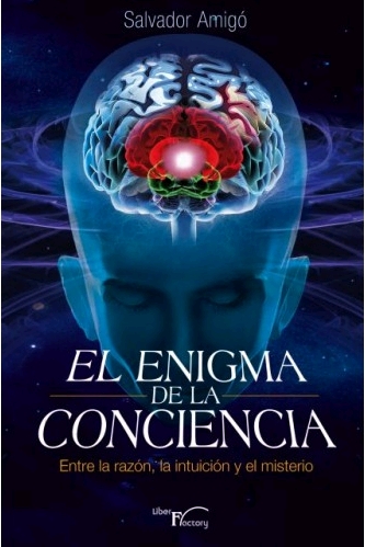 EL ENIGMA DE LA CONCIENCIA