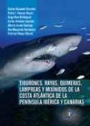 TIBURONES, RAYAS, QUIMERAS, LAMPREAS Y MIXÍNIDO...