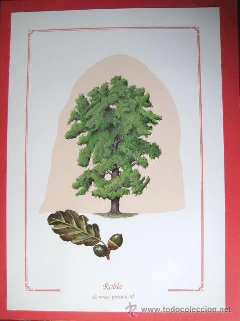 FAUNA Y FLORA DE LA PROVINCIA DE CIUDAD REAL