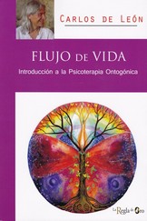 FLUJO DE VIDA