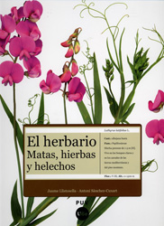El herbario: Matas, hierbas y helechos