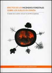 Efectos de los incendios forestales sobre los suelos en España