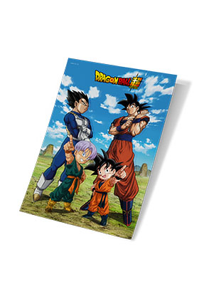 POSTER 3D 38X58CM BATTLE OF GODS GOKU VEGETA FAMILY DRAGON BALL SUPER