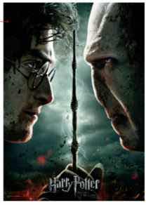 HARRY POTTER PUZZLE HARRY CONTRA VOLDEMORT