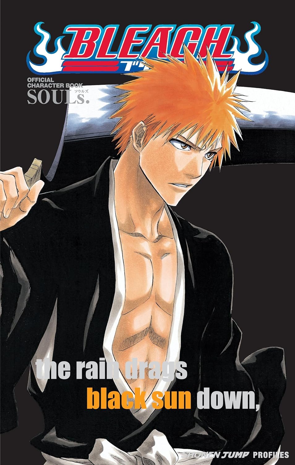 BLEACH SOULS (INGLÉS)