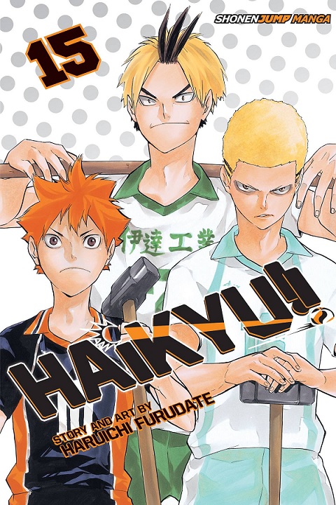HAIKYU!! (INGLÉS) 15