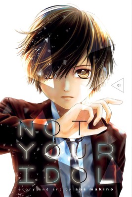 NOT YOUR IDOL (INGLÉS) 01