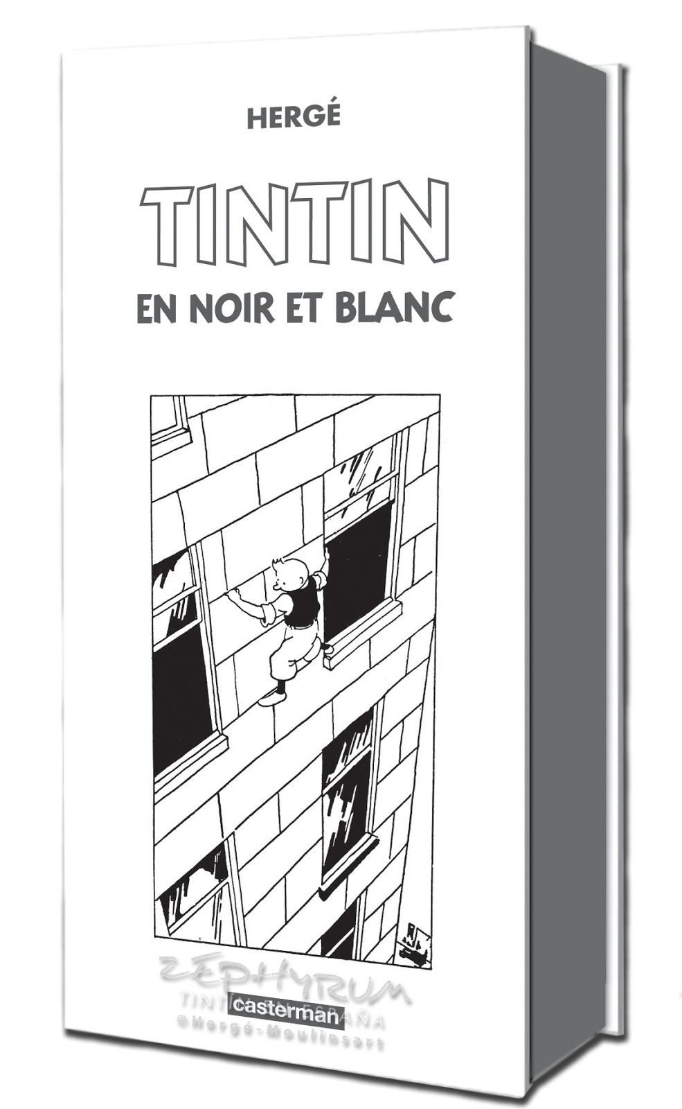 TINTIN EN NOIR ET BLANC