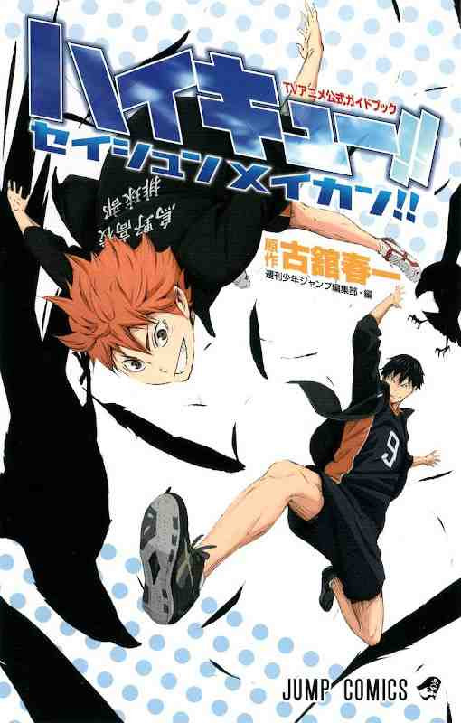 HAIKYU!! TV OFFICIAL GUIDE BOOK (JAPONÉS)