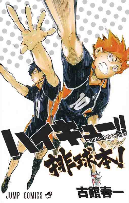 HAIKYU!! COMPLETE GUIDE BOOK (JAPONÉS)