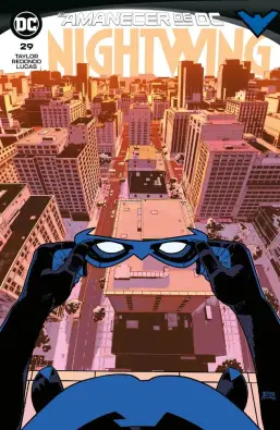 NIGHTWING 29