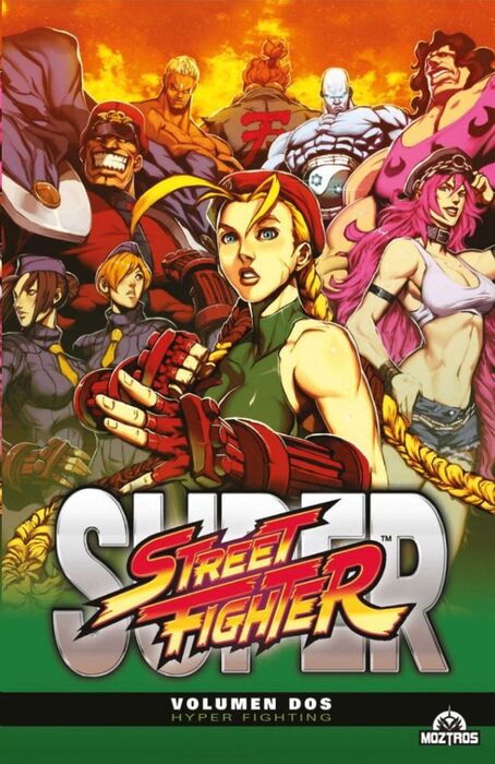 SUPER STREET FIGHTER 02