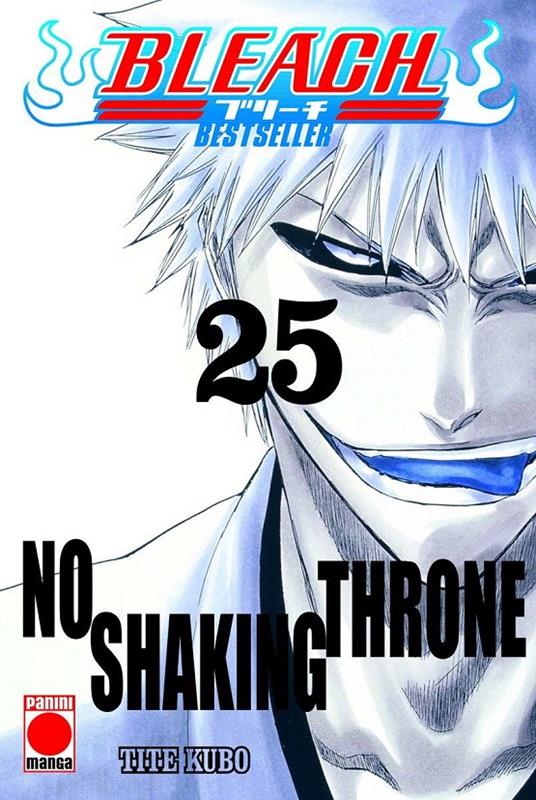 BLEACH BESTSELLER 25