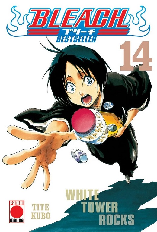 BLEACH BESTSELLER 14