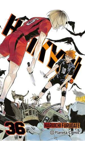 HAIKYU!! 36 DE 45