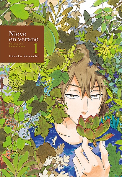 NIEVE EN VERANO 01