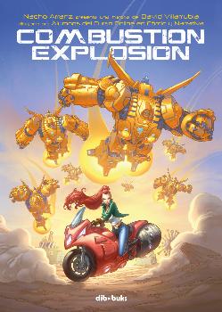 COMBUSTION EXPLOSION