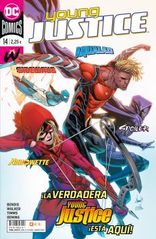 YOUNG JUSTICE 14