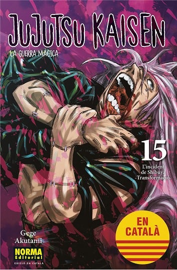 JUJUTSU KAISEN (CATALA) 15