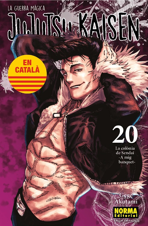 JUJUTSU KAISEN (CATALA) 20