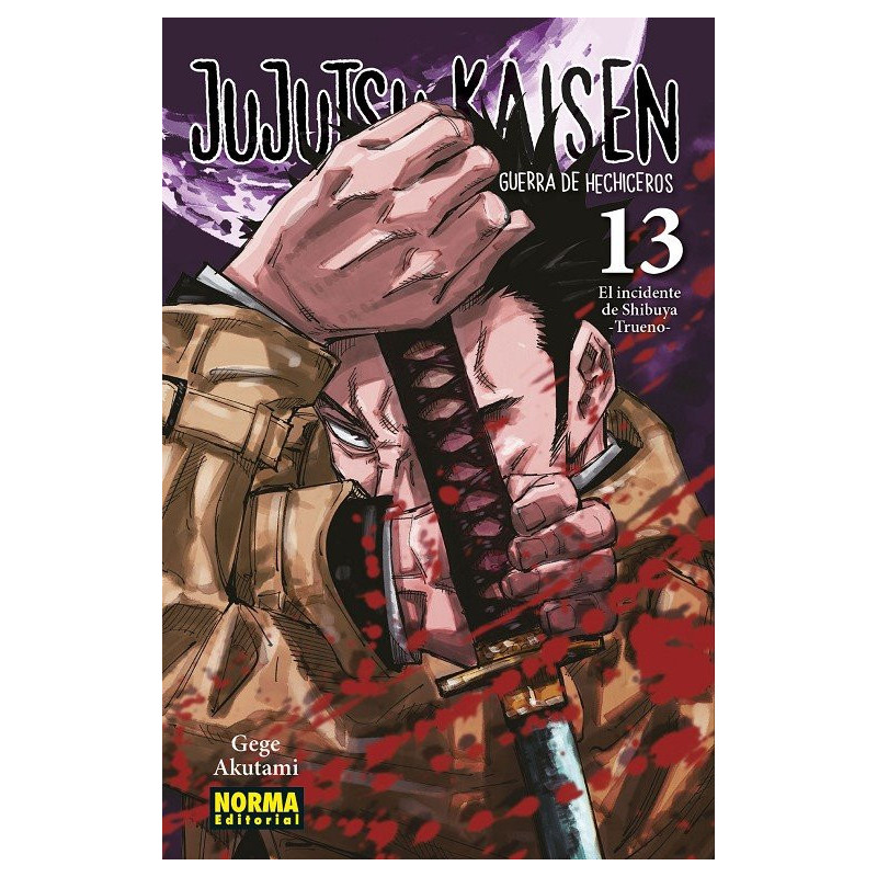 JUJUTSU KAISEN 13