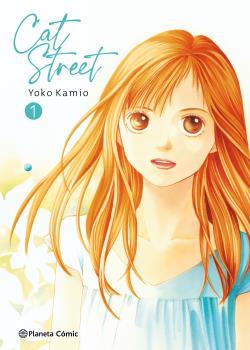 CAT STREET 01 DE 4