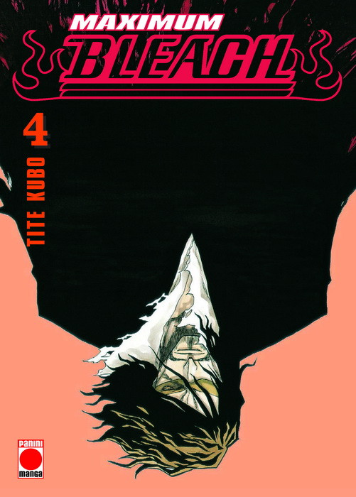 BLEACH MAXIMUM 04