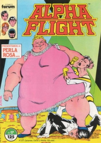 ALPHA FLIGHT VOL.1 17