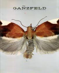THE GANZFELD LOOK NO FURTHER #03