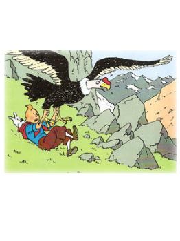 TINTIN POSTER CONDOR