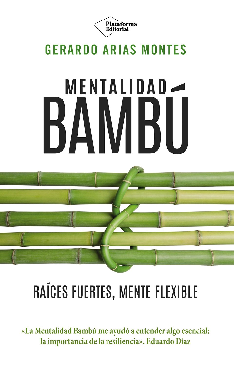 Mentalidad Bambú
