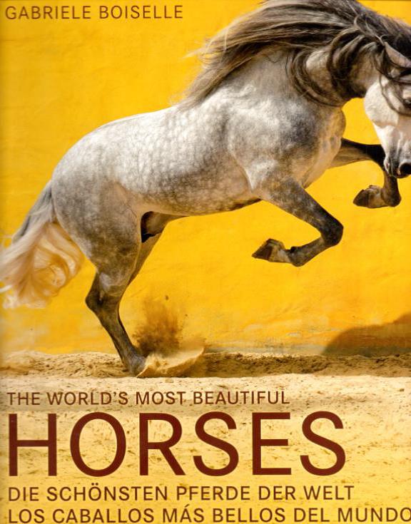 THE WORLD’S MOST BEAUTIFUL HORSES / LOS CABALLOS MÁS BELLOS DEL MUNDO