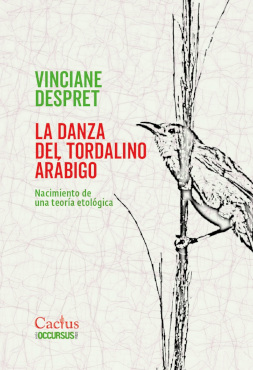 DANZA DEL TORDALINO ARÁBIGO, LA