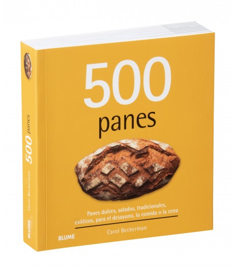 500 PANES (2024)