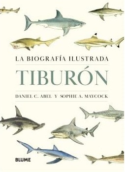 TIBURÓN