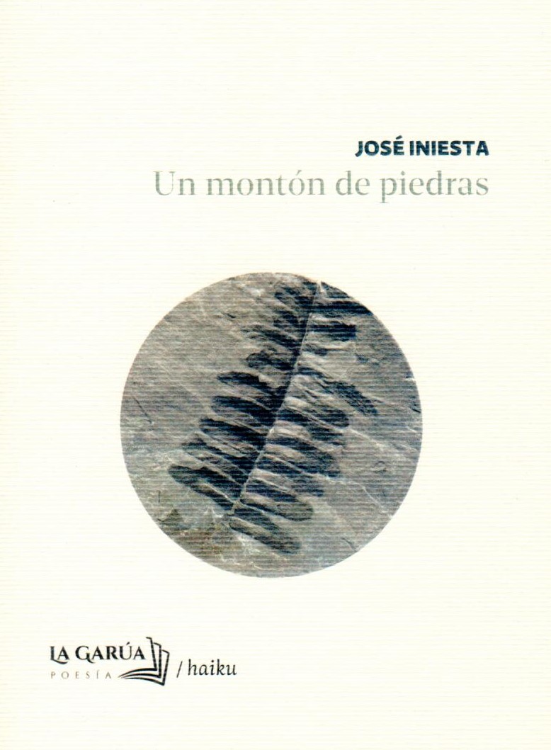 UN MONTÓN DE PIEDRAS