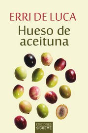 HUESO DE ACEITUNA