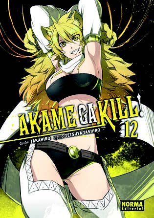 AKAME GA KILL! 13