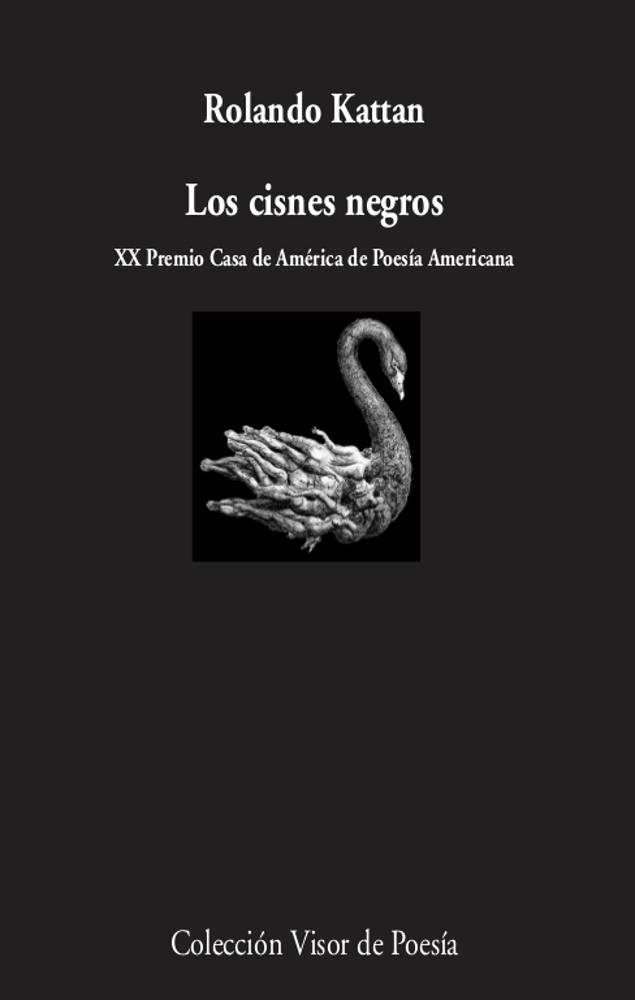 CISNES NEGROS, LOS