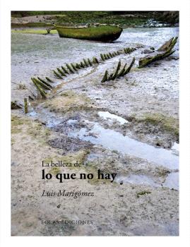 BELLEZA DE LO QUE NO HAY, LA
